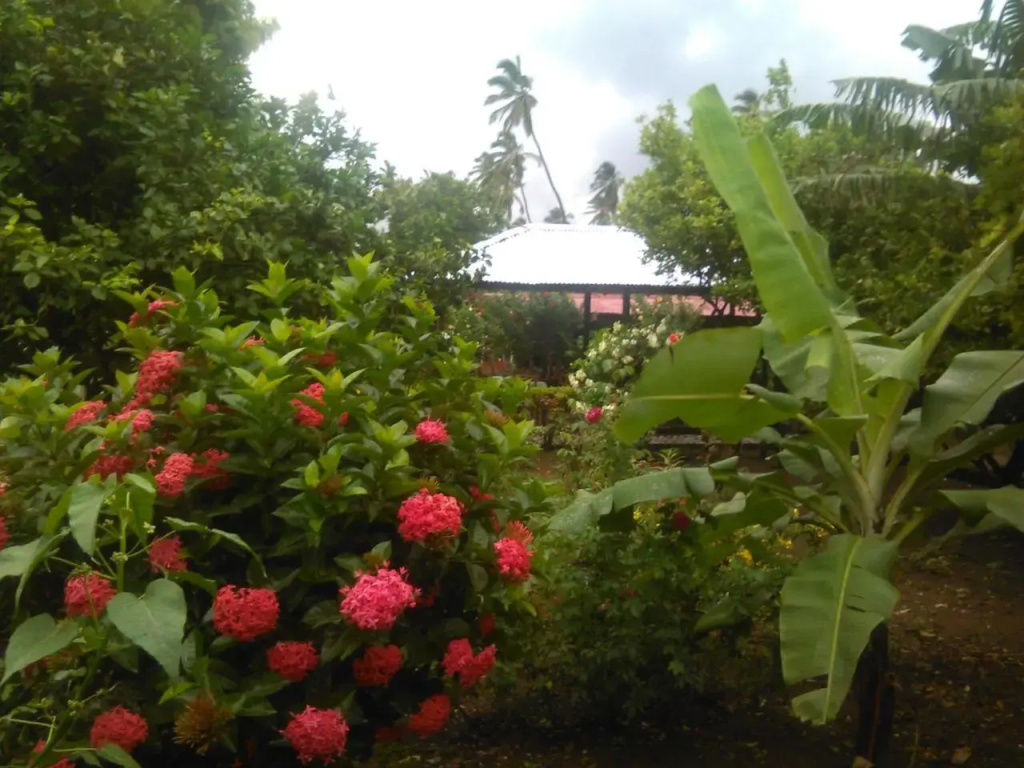 Hospedaje La Cascada