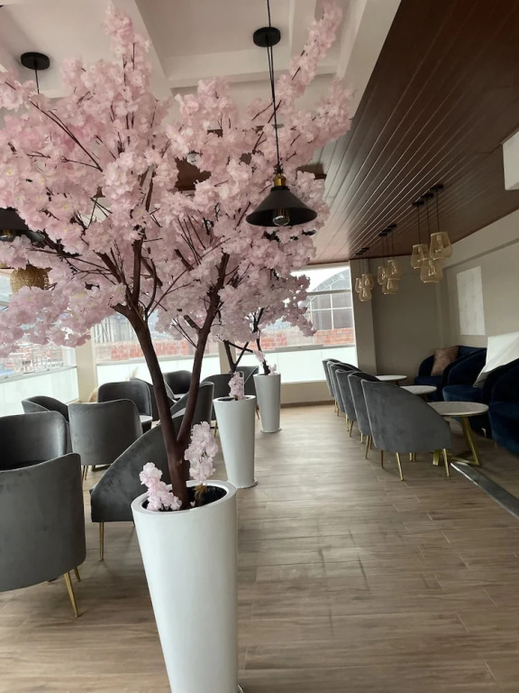 Hotel El Alamo Ejecutivo & Spa - фото 15