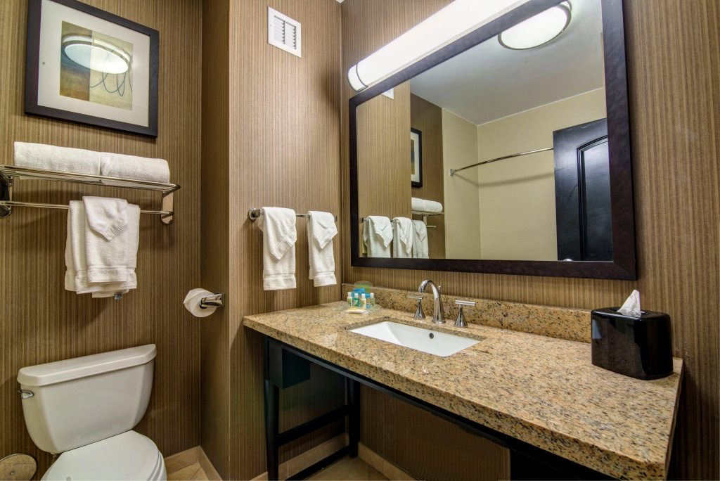 Holiday Inn Arlington NE-Rangers Ballpark by IHG - Général