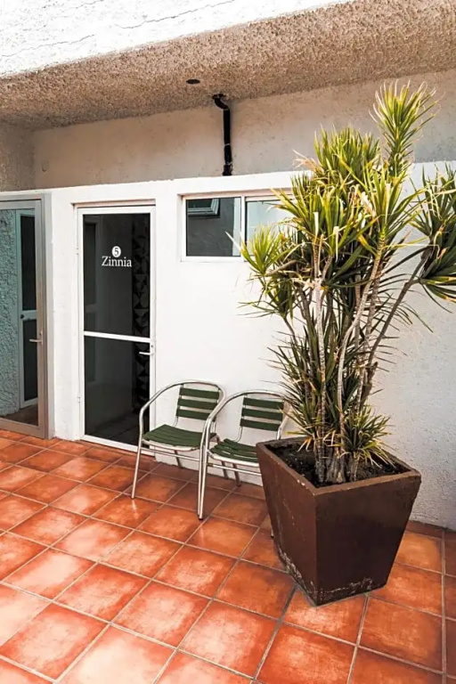 Hotel Mediterrane - Chambres