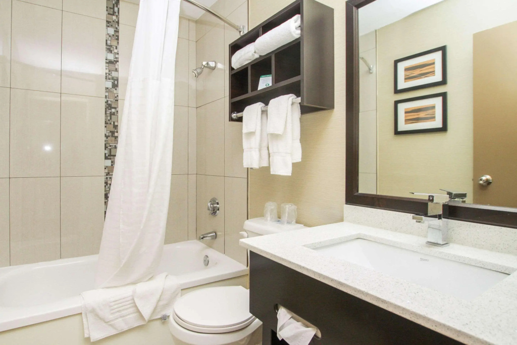 Comfort Inn - фото 8