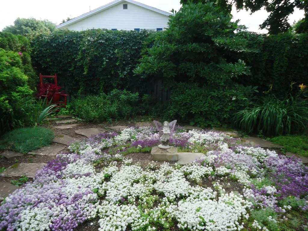 La Louisianne Bed & Breakfast - фото 3