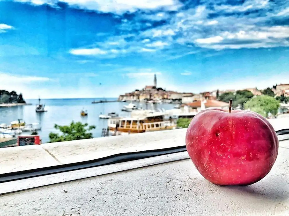 優質三房套房，附設陽台及海景單人床