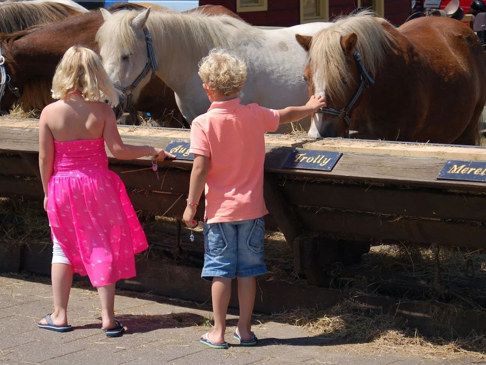 Cozy Holiday Home In De Koog With Swimming Pool