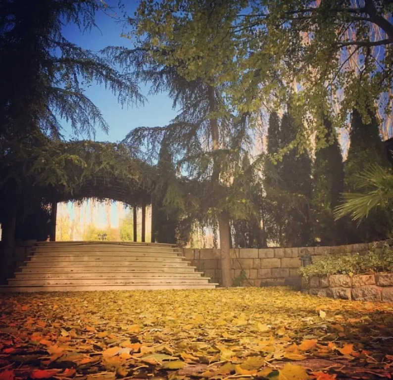 West Bekaa Country Club - фото 34