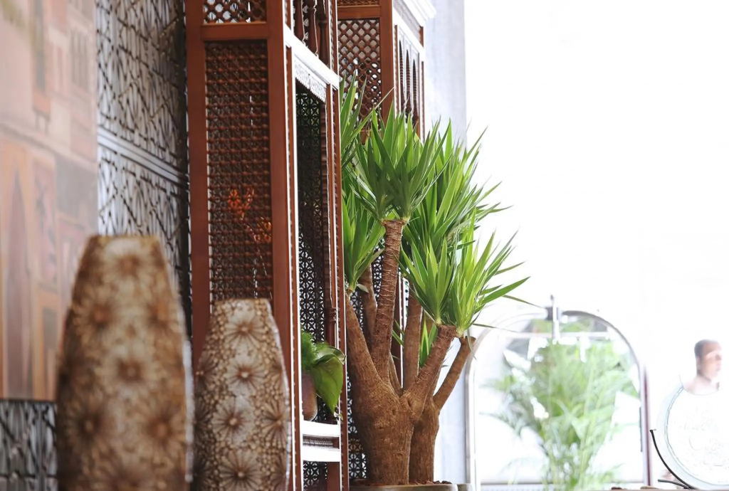Spectrums Tahlia Jeddah - Général