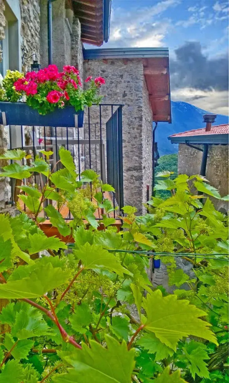 Casa del Borgo il Picchio