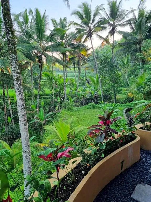 Puri Sebali Resort — 1