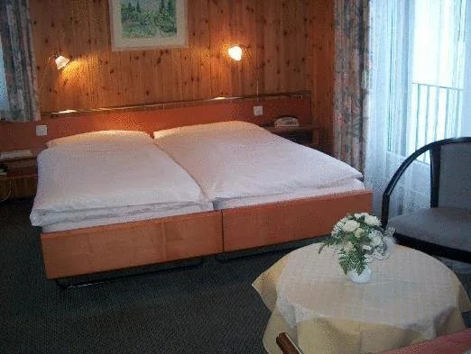 Hotel Cristal - Général