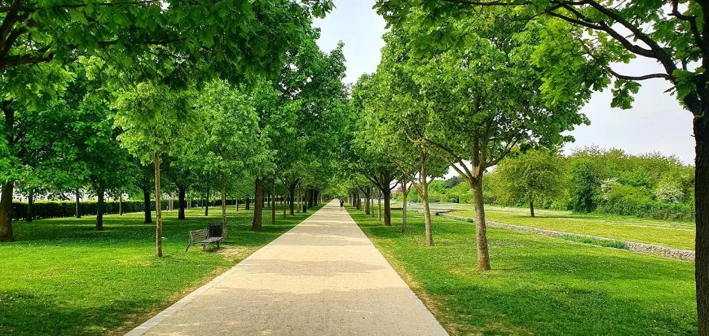 84 ėme rue — фото 2