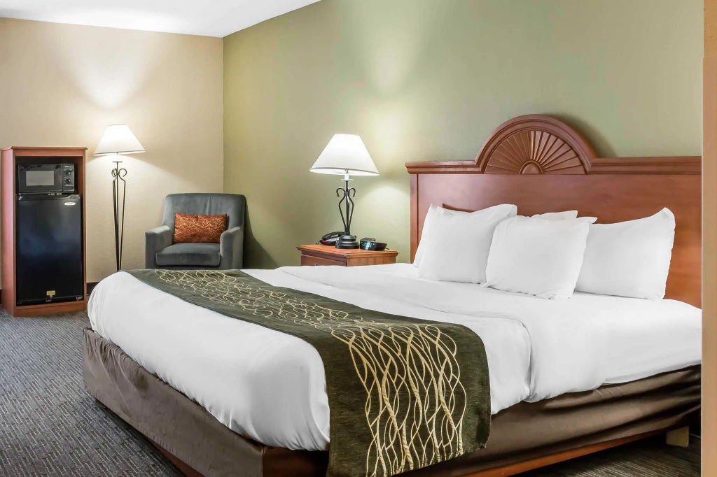 Comfort Inn Pine Grove I-81 Hershey Area - Chambres