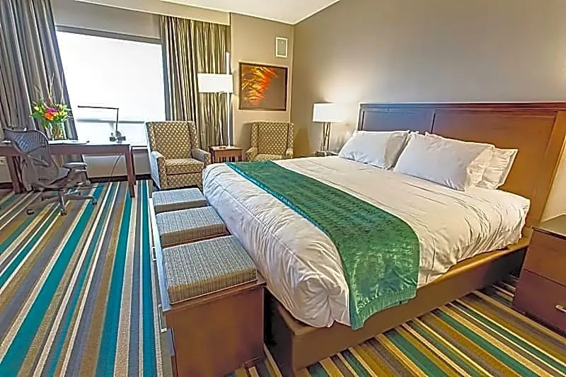 Hotel Blackfoot - Chambres