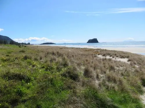 Beach & Waterfront