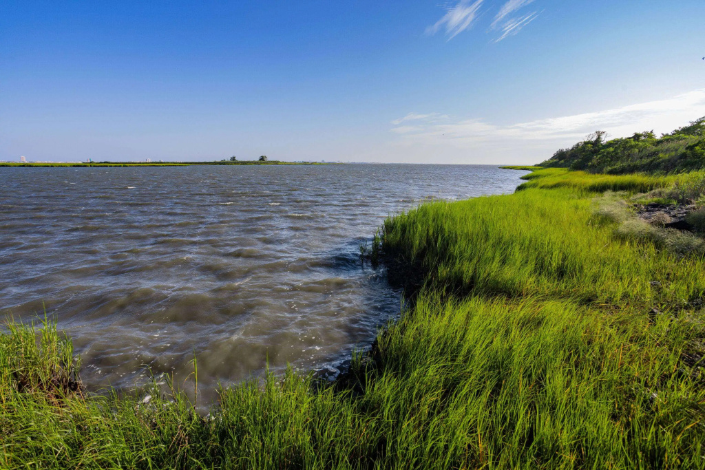 Beach & Waterfront