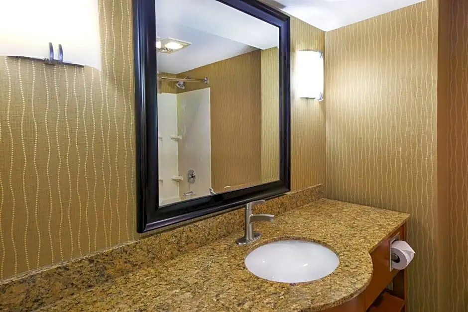 Holiday Inn & Suites Bolingbrook by IHG - Chambres