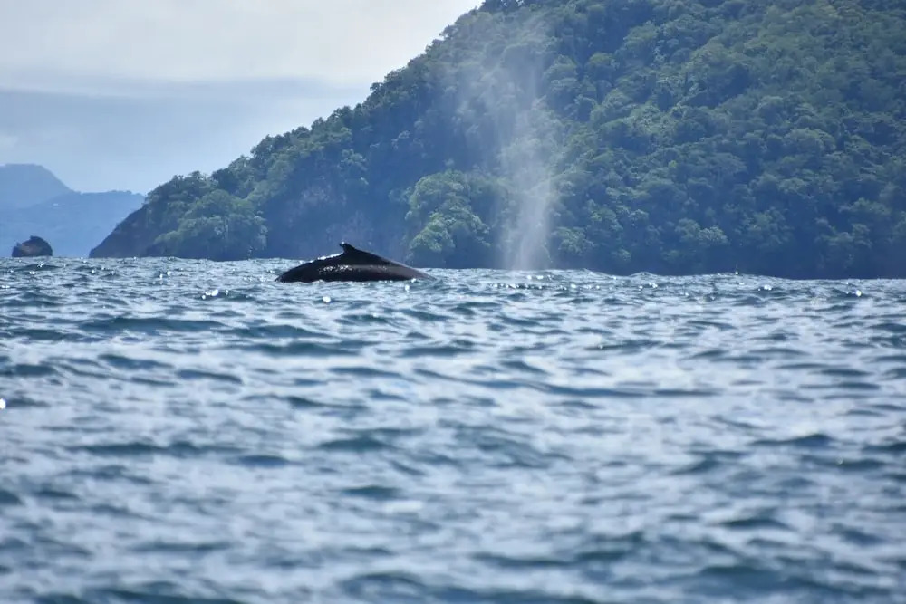 Fidelito Ranch & Lodge - фото 26