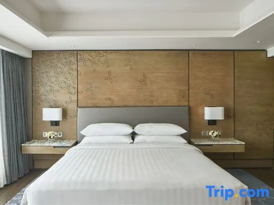 1 Bedroom Executive Double Club Suite with pool view (full double bed)