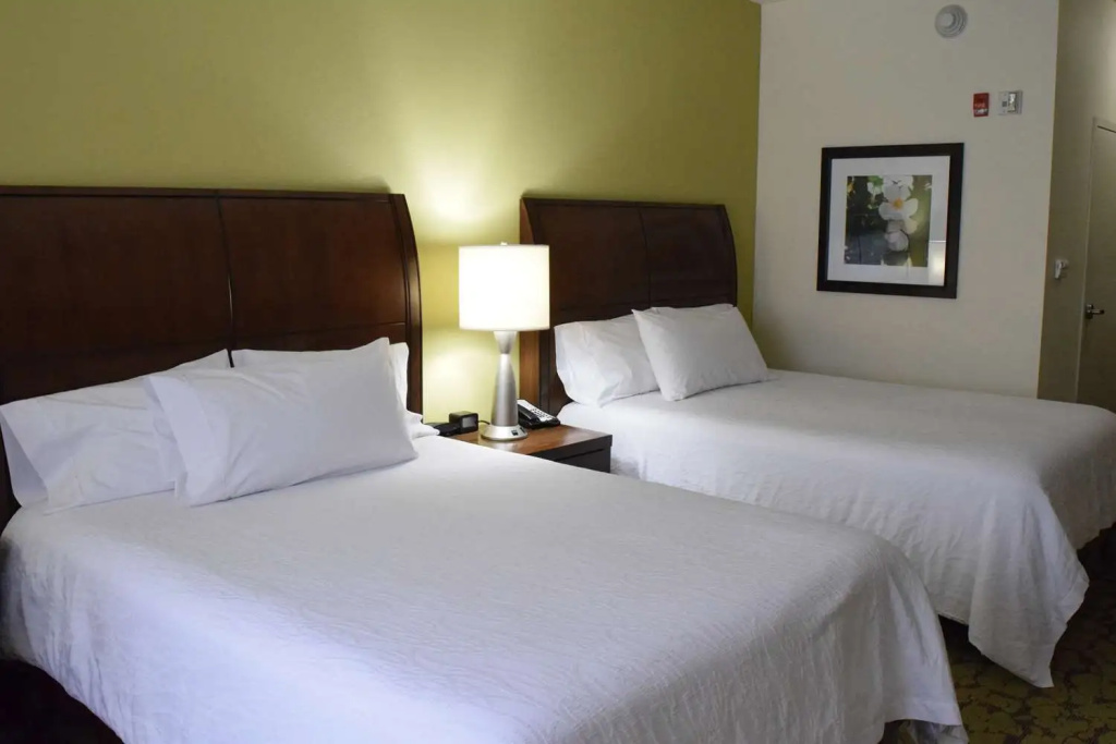 Hilton Garden Inn Rochester Downtown, NY - Chambres