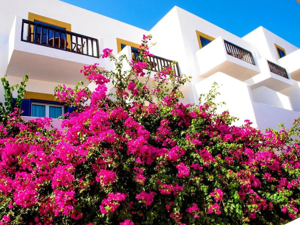 Patmos Paradise Hotel - Chambres