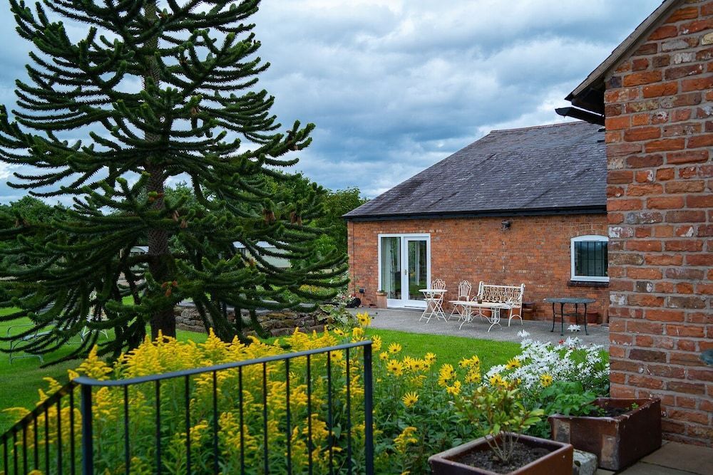 Image 12