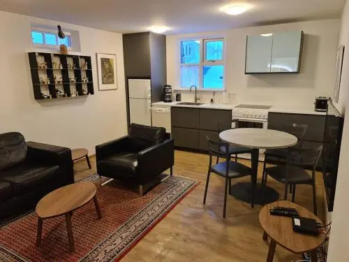 Lækjargata apartment