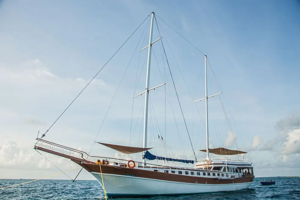 Akoya Pearl