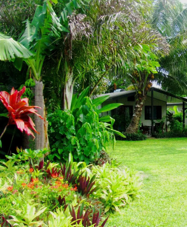 Muri Beach Resort - Chambres