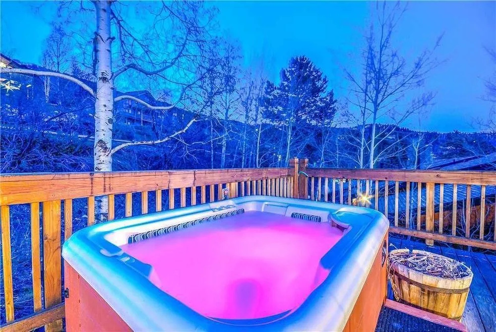 Snowbird Chalet - Général