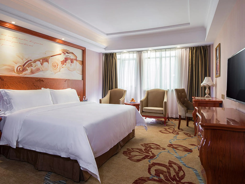 Vienna Hotel Heyuan Longchuan Branch - Chambres