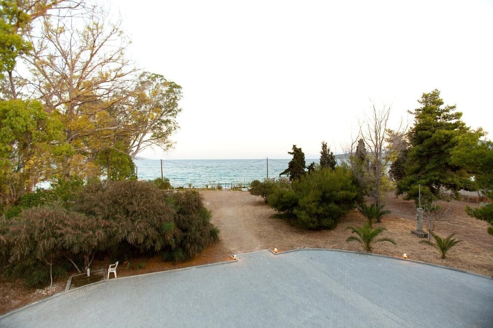 Beach & Waterfront