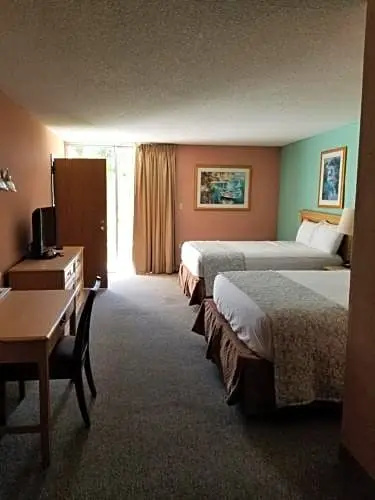 Standard Suite