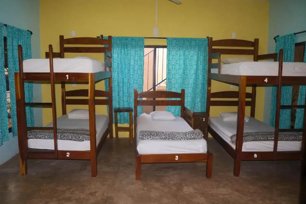 Bed in Dorm