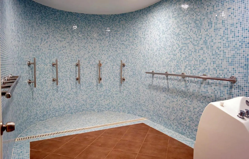 Adrina Termal Health & SPA Hotel - Général