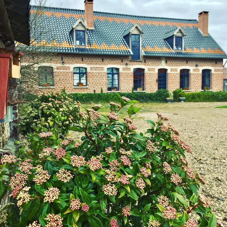 Paardenhof Guesthouse