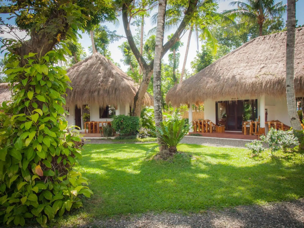 Pura Vida Beach & Dive Resort - фото 34