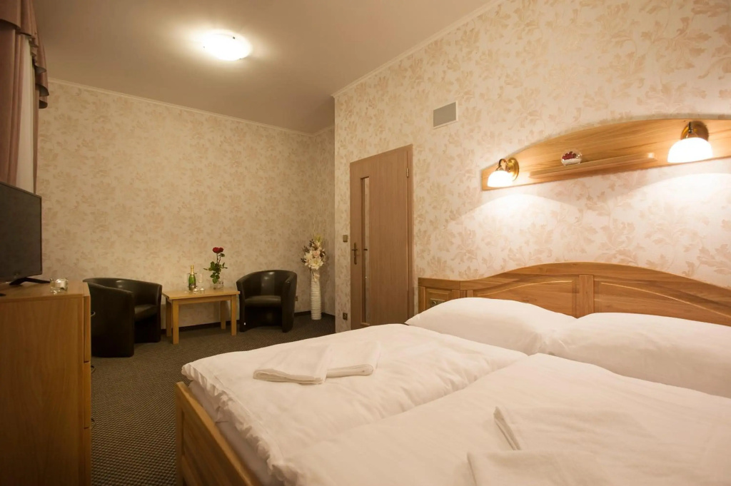 Spa Hotel Millenium Karlovy Vary - Général