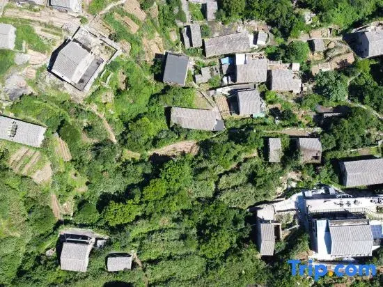 Wenling Yiju Yard