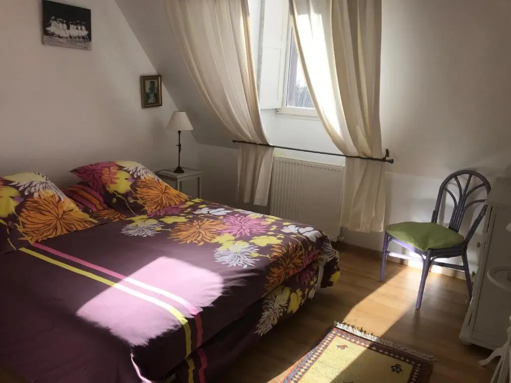 Deluxe Double room (full double bed)