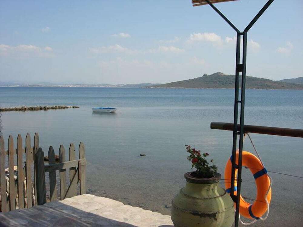 Image 11