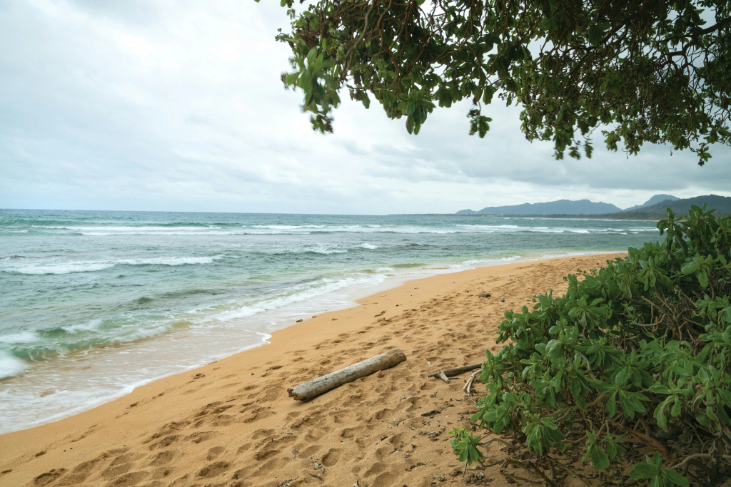 Kauai Coast at the Beachboy - Général