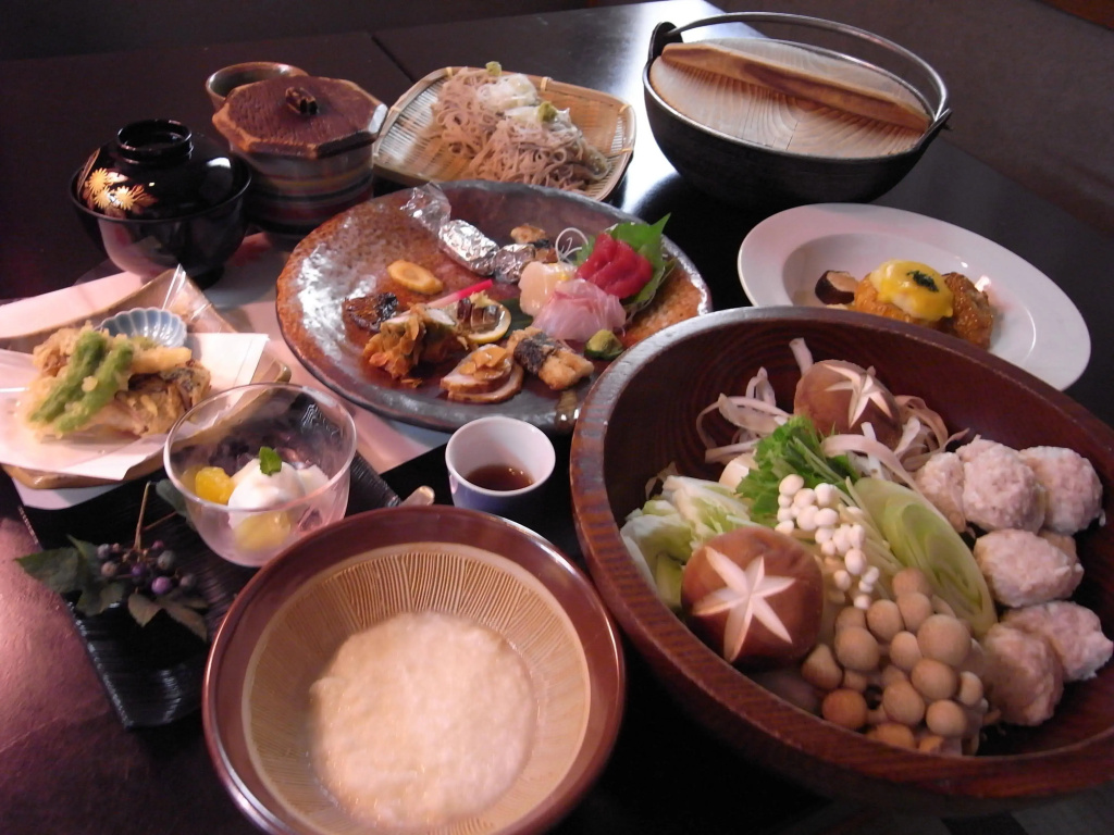 Ryokan Kamiaizuya - Général
