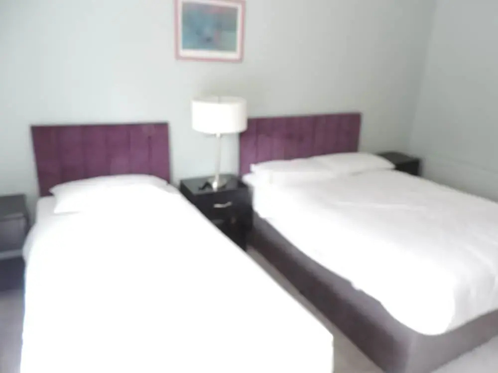 Standard Double room (twin beds)