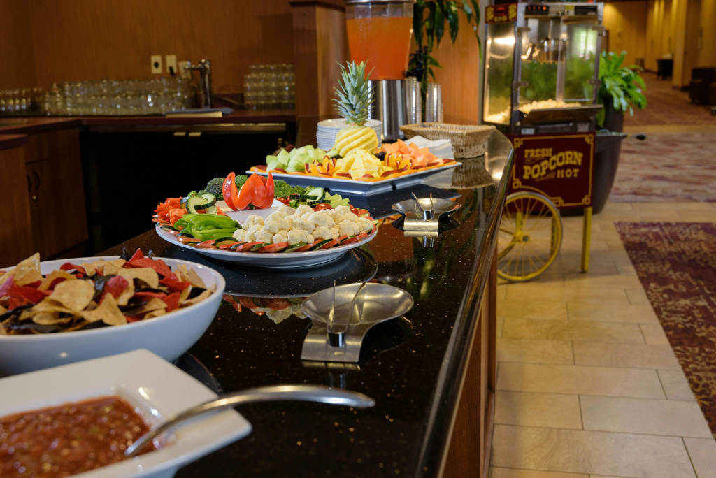 Embassy Suites by Hilton Minneapolis North - Général