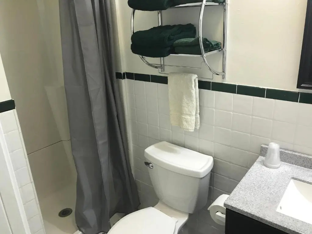 Standard Quadruple room with mountain view