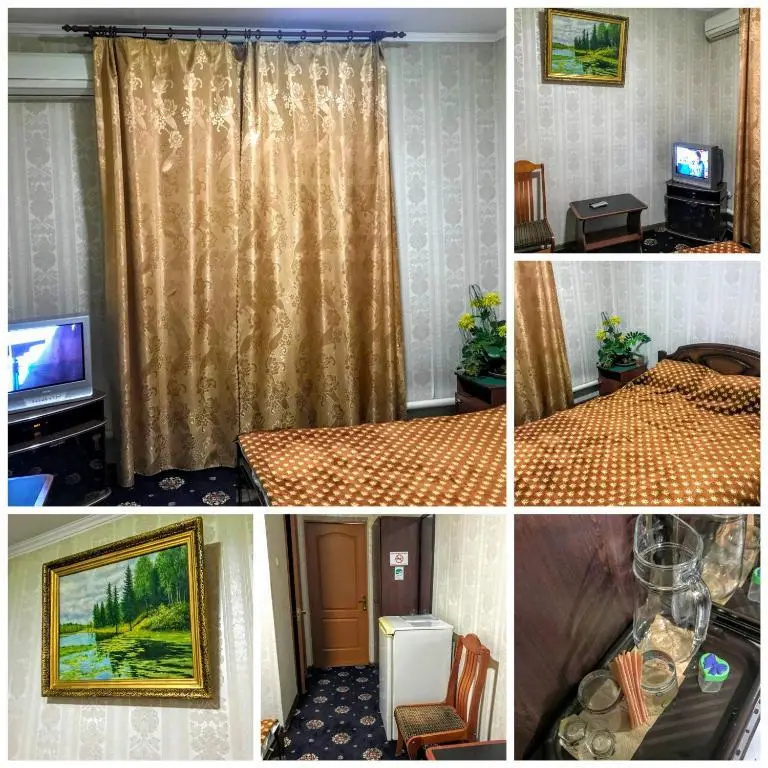 Standard Double room (full double bed)