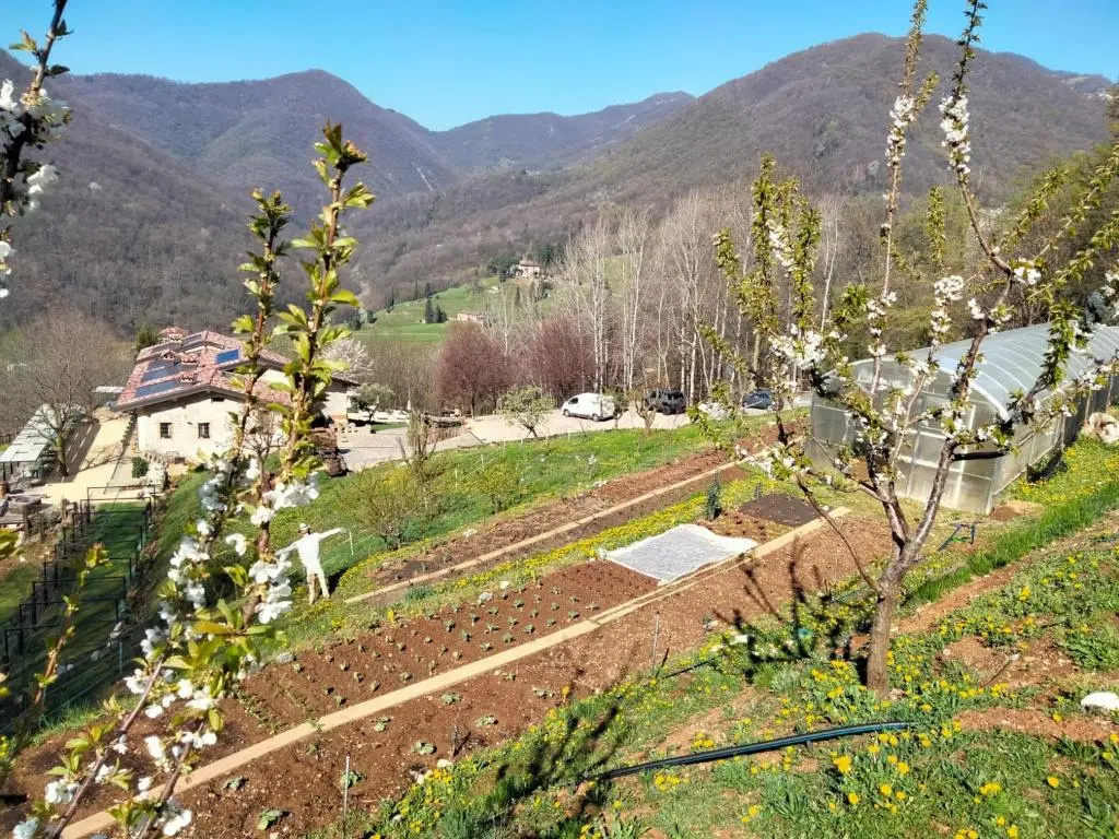 Agriturismo Cafenile