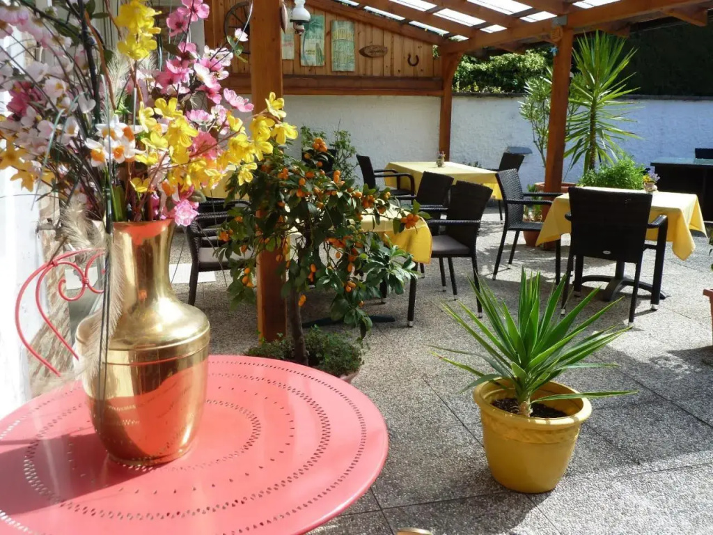 Hotel Pension Pfefferdohle - Général