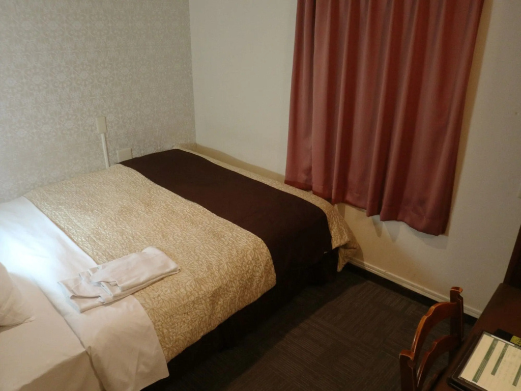 Hamamatsu Station Hotel — 4