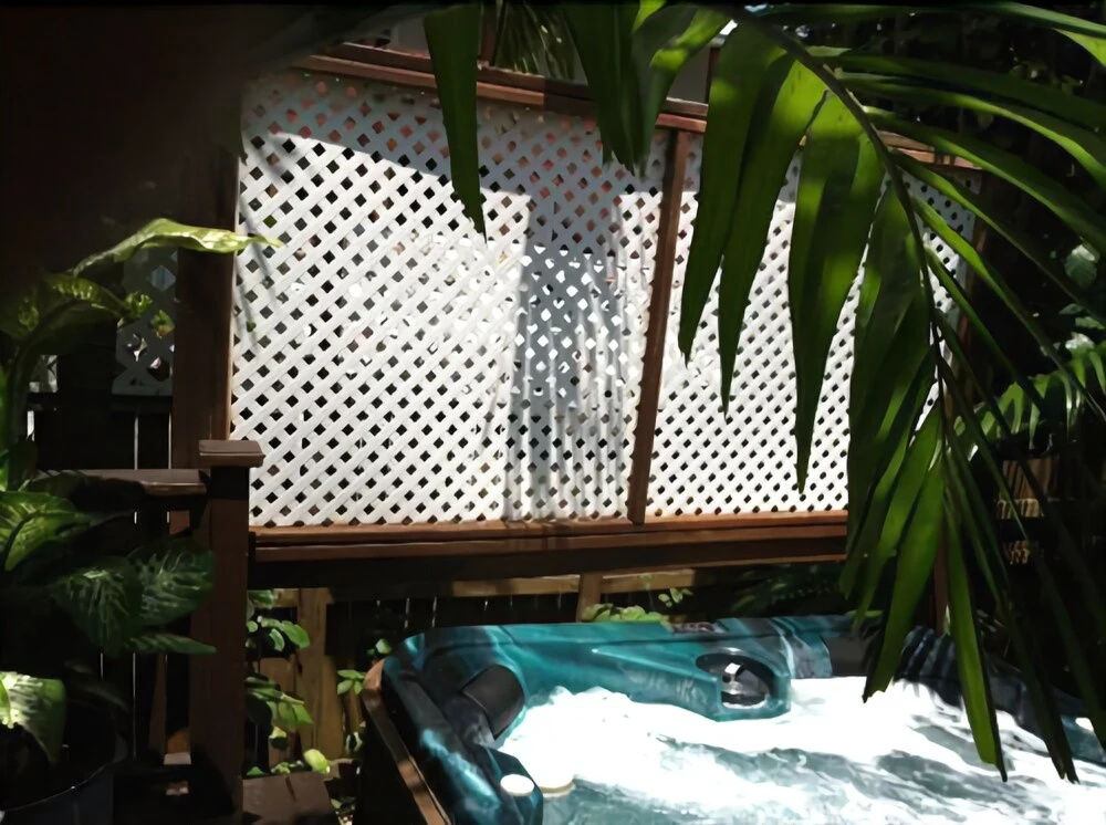 The Beach Bungalow - Général