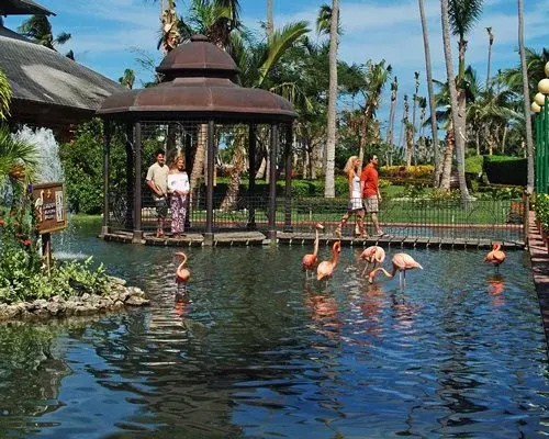 IBEROSTAR Dominica - 5 Nights, Higuey, Dominican Republic